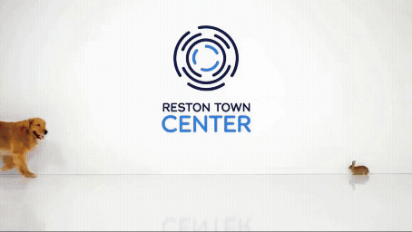 Reston Town Center Events