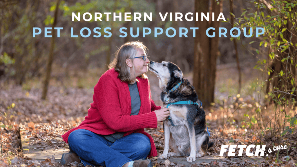 Pet Loss Support