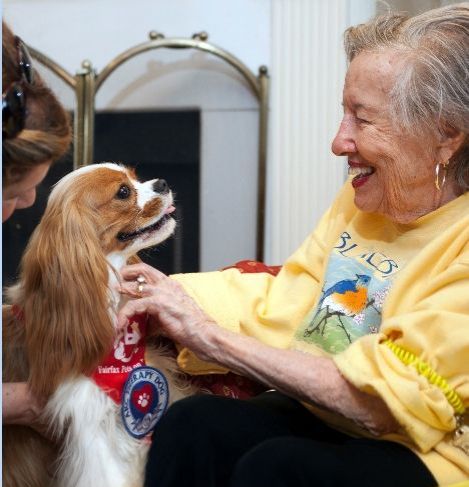 Fairfax Pets On Wheels