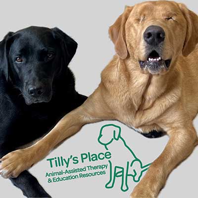 Tilly's Place photo