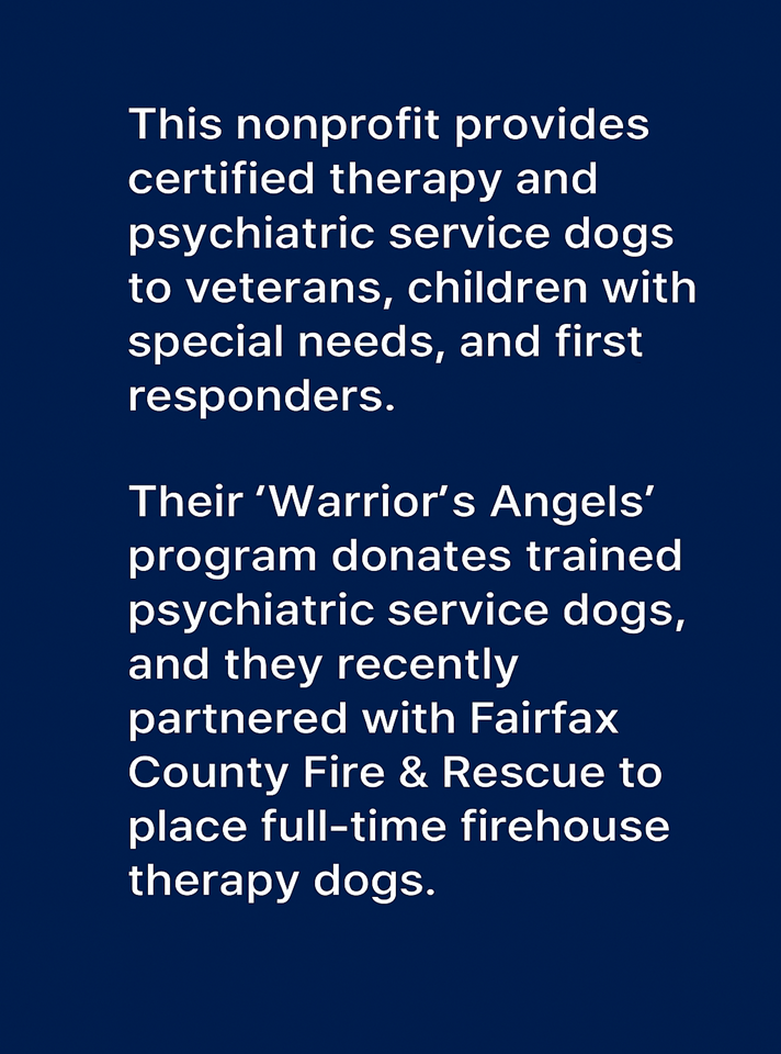 K-9 Caring Angels K-9 Caring Angels