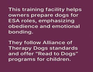 Off Leash K9 Training