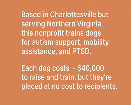 Service Dogs of Virginia Service Dogs of Virginia
