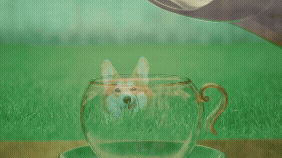 Animated Hot Tea Pouring in Cup w/ Corgi Running Towards It