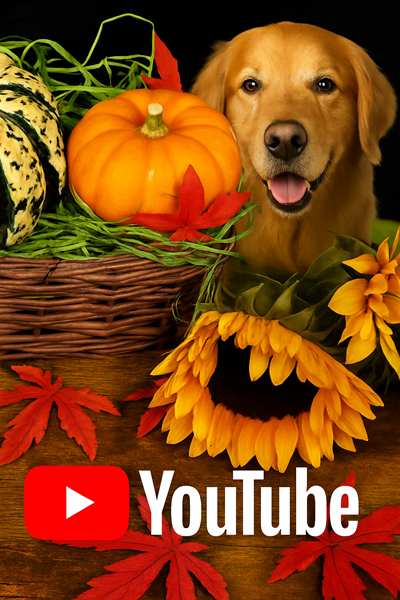 YouTube logo with autumn harvest and therapy dog's face