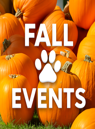 Fall Events Page logo