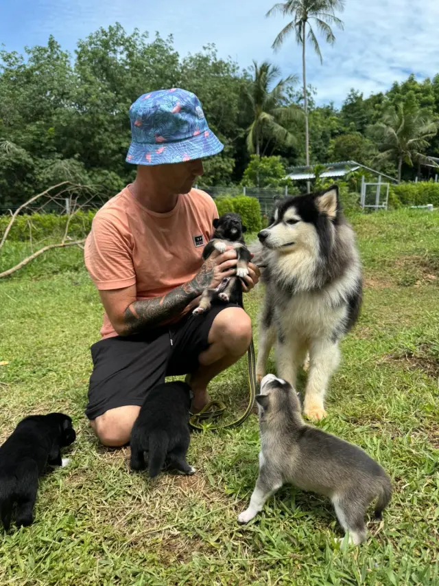 Happy adopted dog heading home with new family