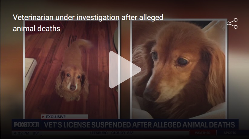 Veterinary Dentist in Fairfax Under Investigation
