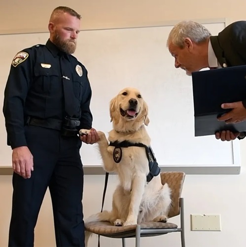 K9 Officer For New York Police