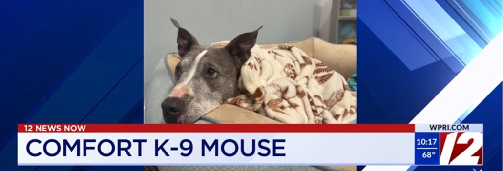Comfort K-9 Comfort K-9