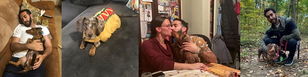 Dachshund Death Case Dachshund Death Case