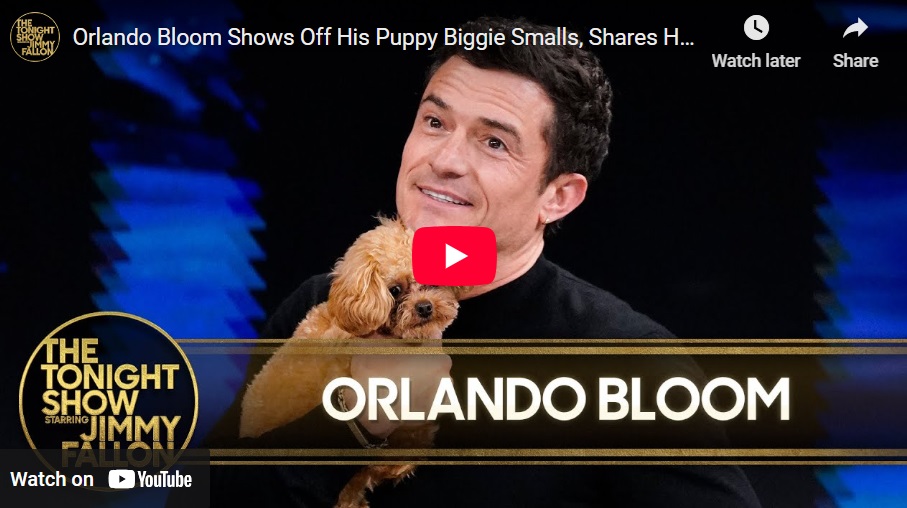 Orlando Bloom The Tonight Show Orlando Bloom The Tonight Show