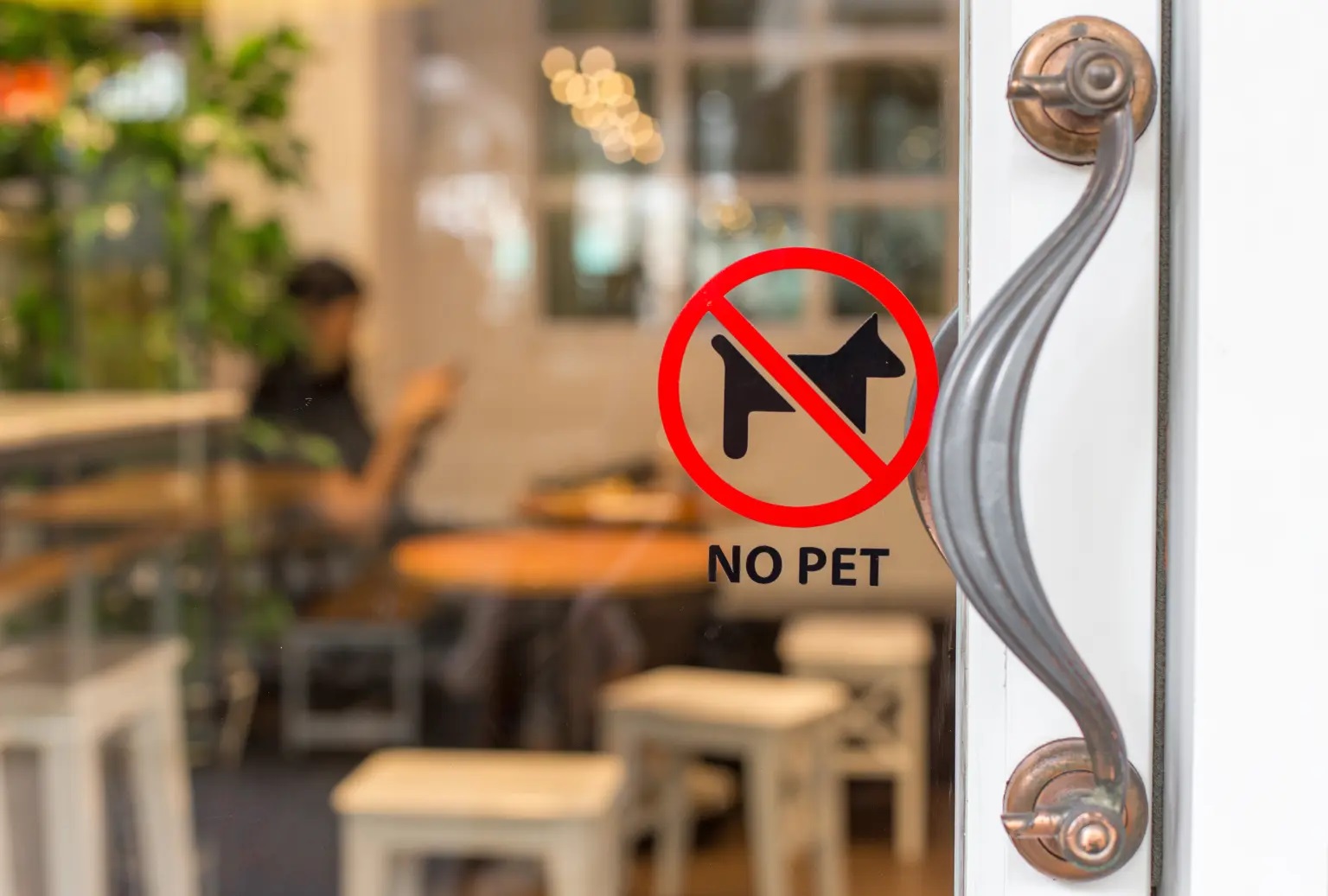 No Pet Coffee Shop No Pet Coffee Shop