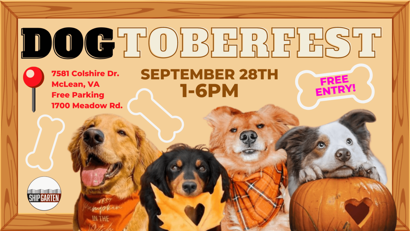 Dogtoberfest poster feature 4 dogs