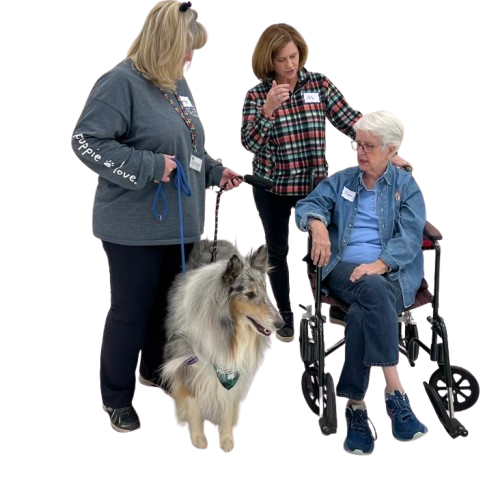 NCTD - 3 women, one in a wheelchair, and a therapy dog
