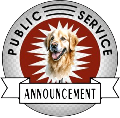 Public Service Announcement logo