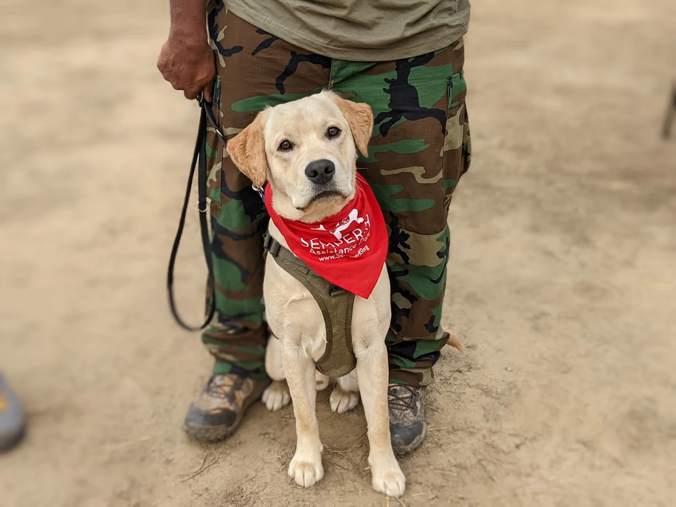 Semper K9 rescue dog and trainer