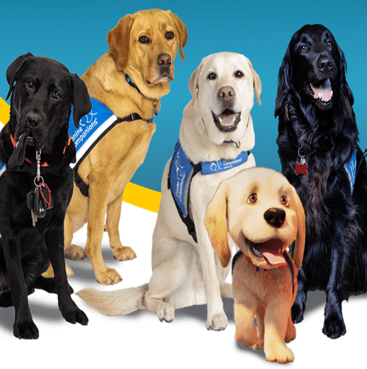5 dogs representing National Service Dog Month