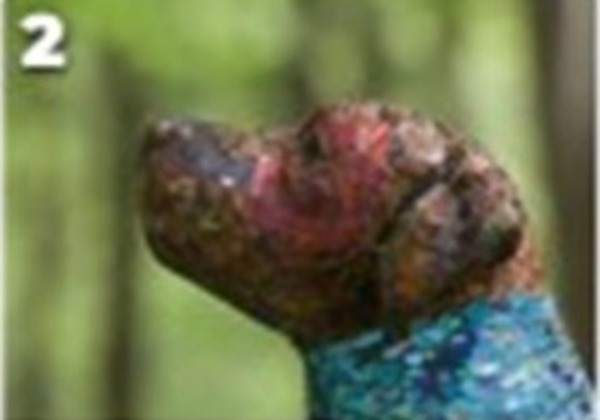 Art Unleashed statue 2: Bird Dog