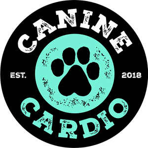 Working Dog Wednesday | Club Canine Cardio