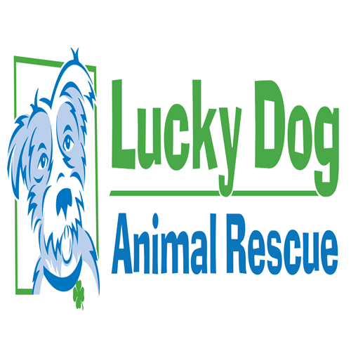 Lucky Dog Animal Rescue at Petco Bailey's Crossroads