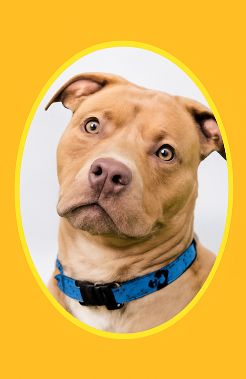 Dog Headshot in Oval