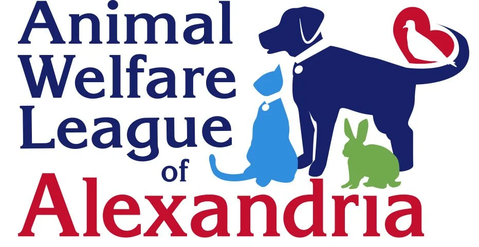 Paws in the Park &mdash; Oronoco Bay Park, Alexandria