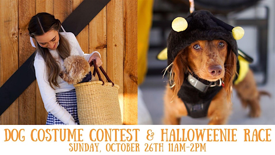 Dog Halloween Costume Contest & Hallo-weenie Race