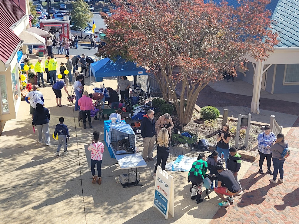 Barktoberfest &mdash; Lake Fairfax Park, Reston