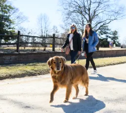 All the President&rsquo;s Pups Tour &mdash; Mount Vernon, Alexandria
