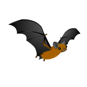 bat