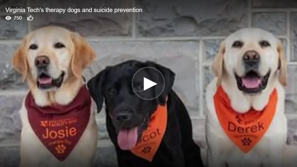Therapy dogs engaging with students at Virginia Tech