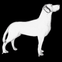 Animated SDV Dog Sketch