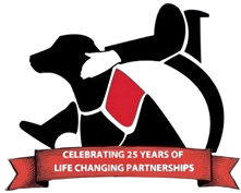 SDV logo
